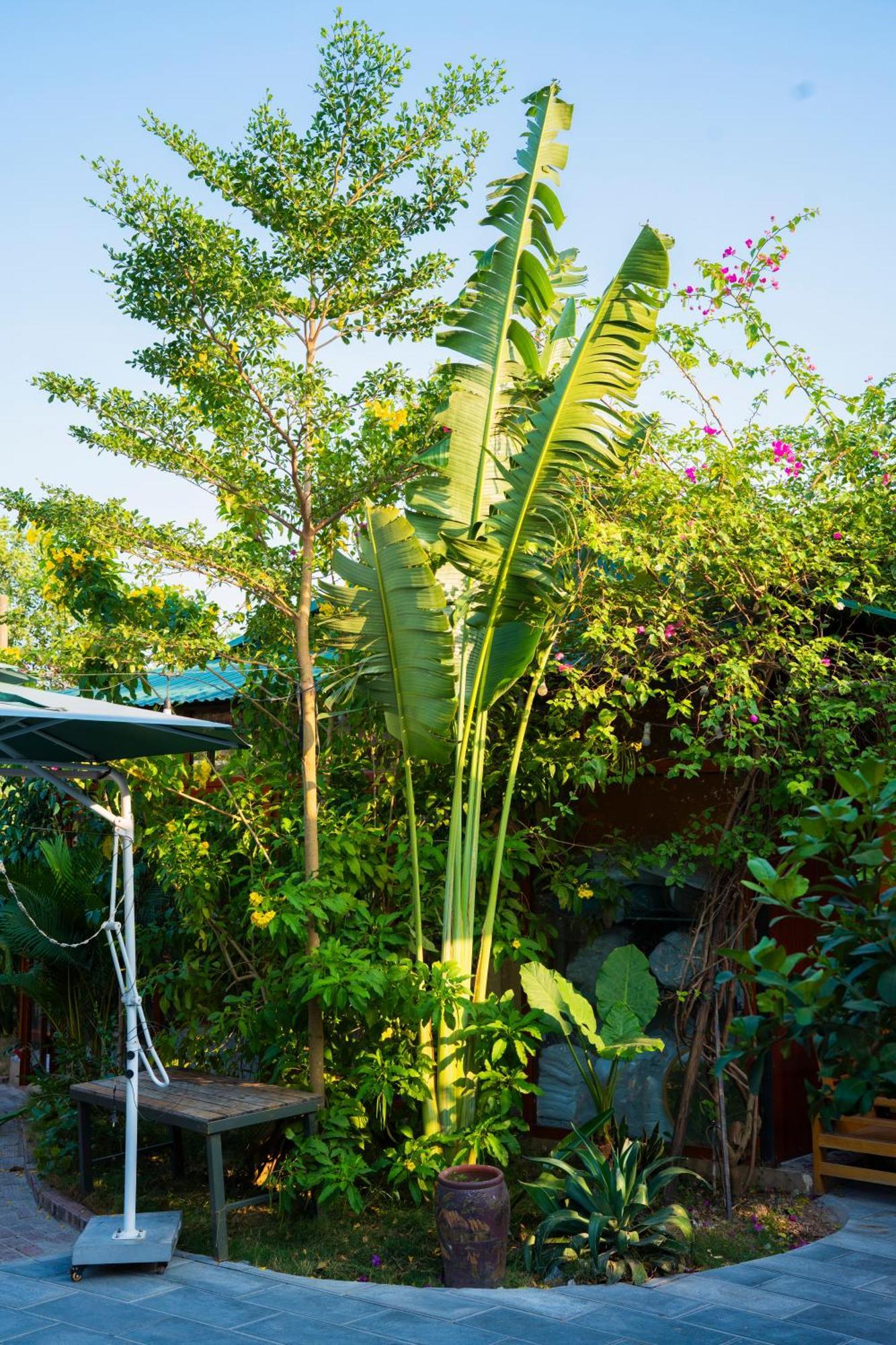 Hotel Rosa Garden Ninh Binh Zewnętrze zdjęcie